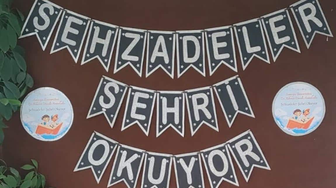 Şehzadeler Şehri Okuyor